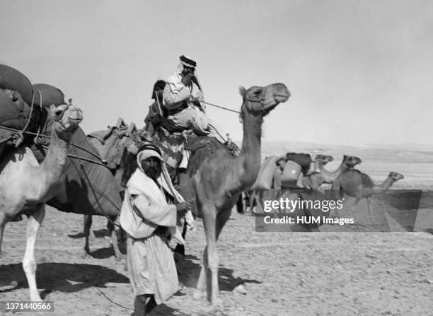 Middle East History - Between Hafir el Auja & Kosaina. Camel caravan..., News Photo