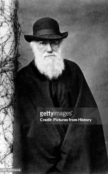 Charles Darwin , English naturalist, geologist and author of 'On the Origin of the Species' , Elliot and Fry, 1881.