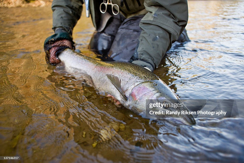 Holding pere marquette river