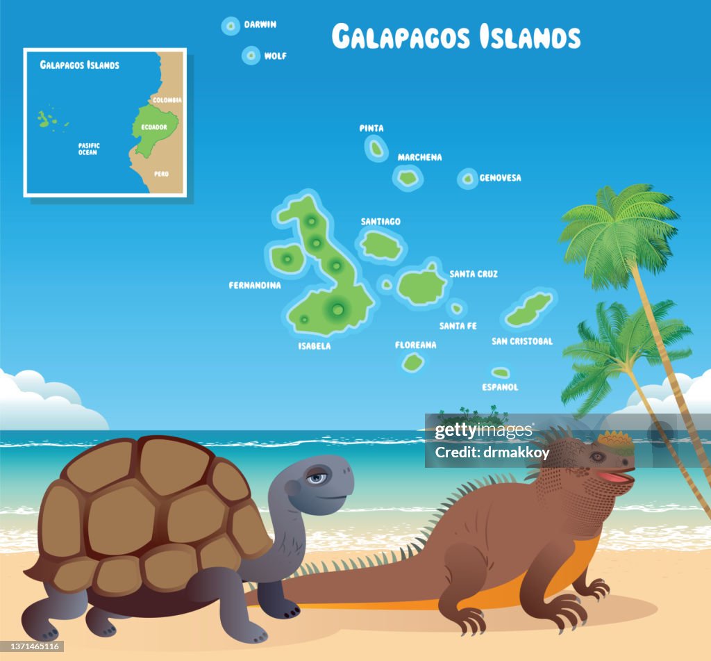 Galapagos Islands and animals