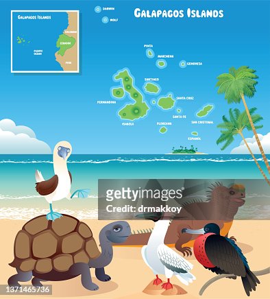 166 Ilustraciones de Islas Galápagos - Getty Images