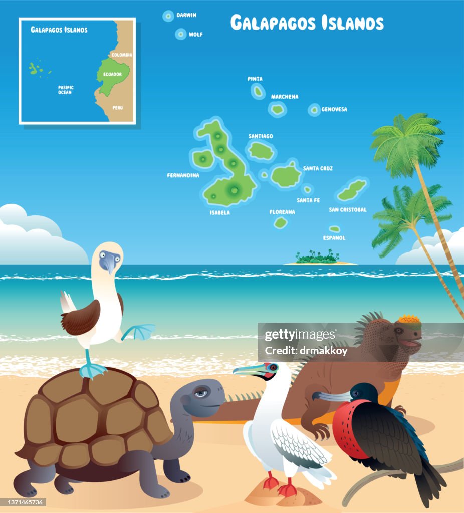 Galapagos Islands and animals