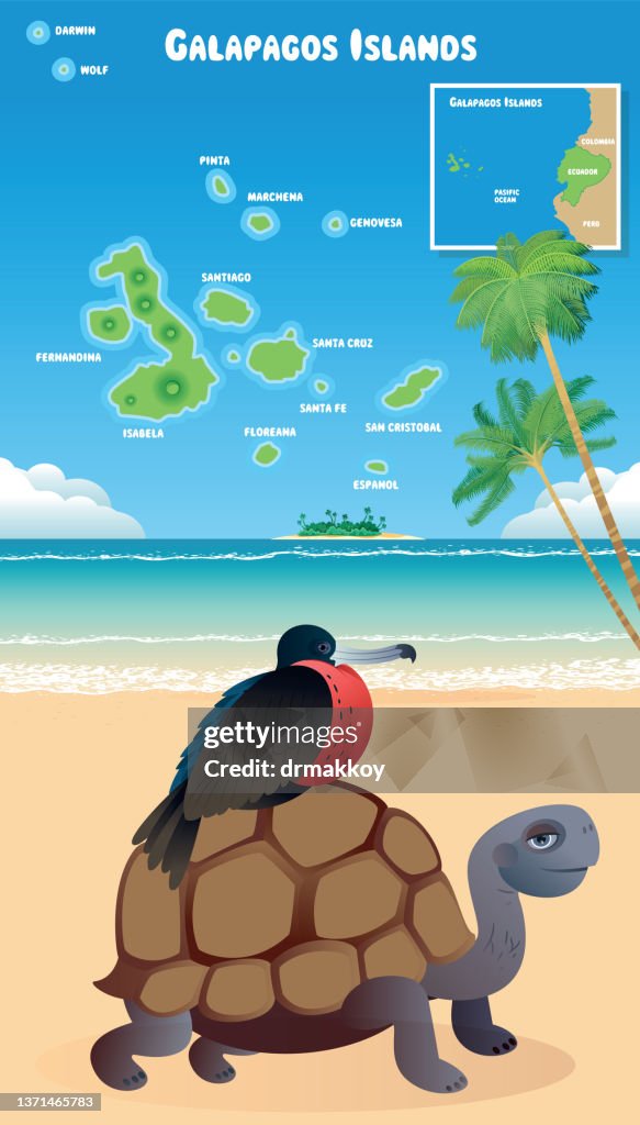 Galapagos Islands and Frigatebird