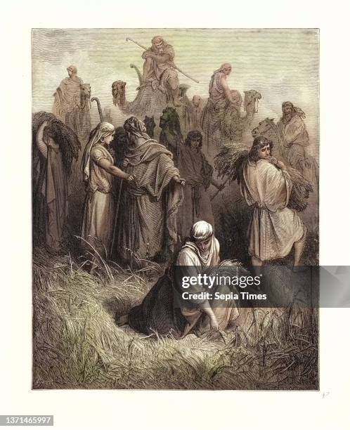 Ruth Scripture Ruth Bible Photos and Premium High Res Pictures - Getty Images