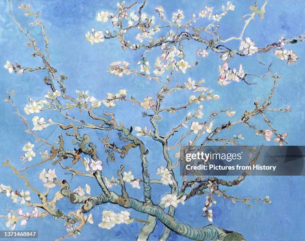 'Almond Blossoms', oil on canvas, Vincent Van Gogh , 1890.