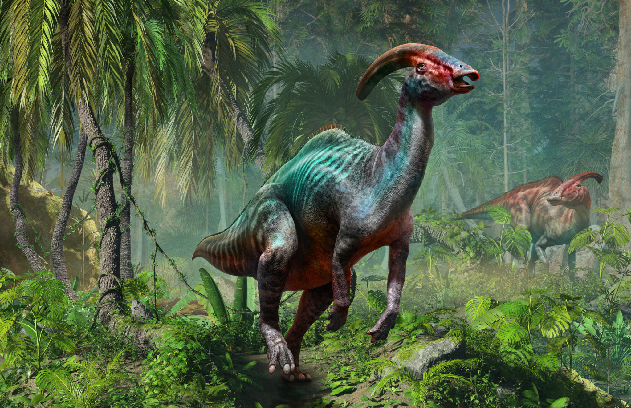 dinosaurs in forest