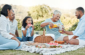 Shot of a family enjoying a picnic in a park