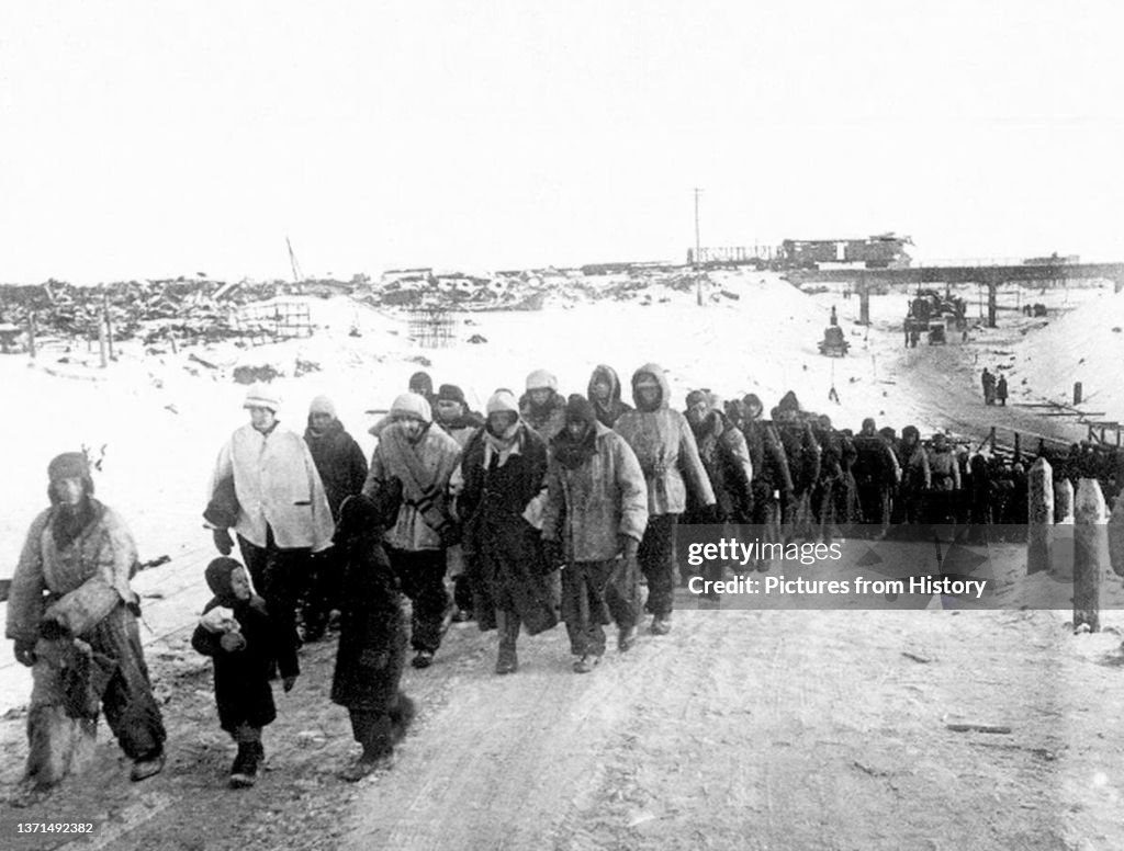 Russia/Germany: Surrendered German soldiers marched into captivity through the snow, Stalingrad, 1943