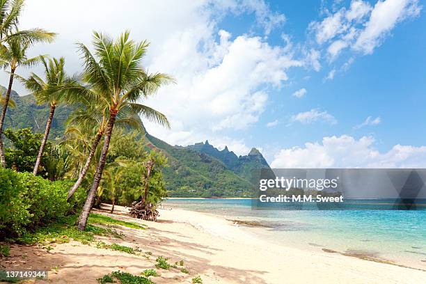 tropical beach kauai - ハワイ諸島 ストックフォトと画像