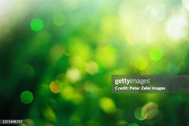 defocused lights green background - green background stock pictures, royalty-free photos & images