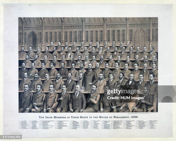 Print shows, from back to front, 1. Alexander Blane, 2. J.D. Sheehan, 3. Sir Joseph N. M'Kenna, 4. Donal Sullivan, 5. Patrick O'Hea, 6. Dr. Fox, 7....