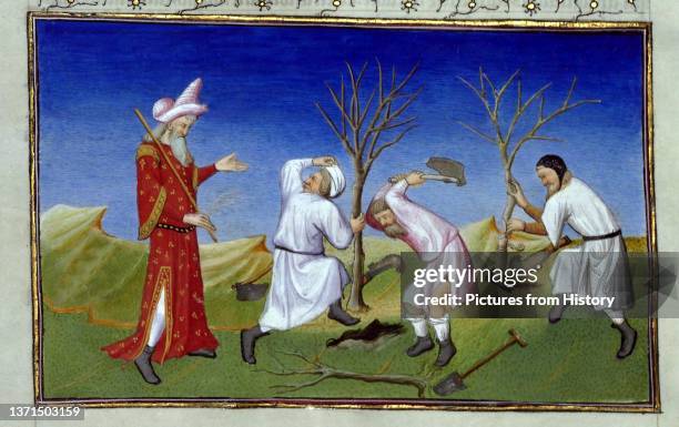 Collecting frankincense from trees. Le Livre des Merveilles, Paris, c. 1420.