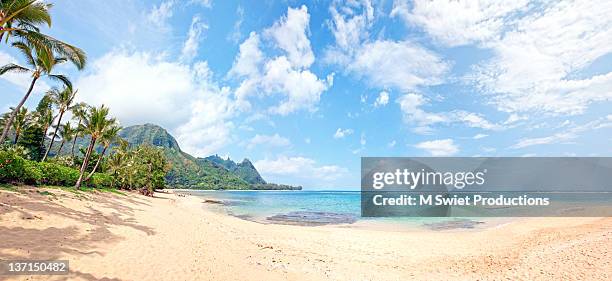 tropical beach hawaii - hawaii panoramic stock pictures, royalty-free photos & images