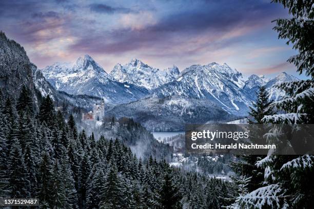 view to alpsee and the allgäu alps, fuessen, bavaria, germany - neuschwanstein castle fotografías e imágenes de stock