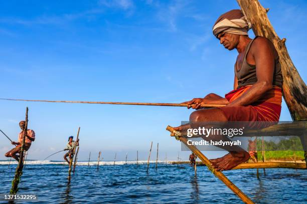 the stilt fishermen at work, sri lanka, asia - cultura cingalesa imagens e fotografias de stock