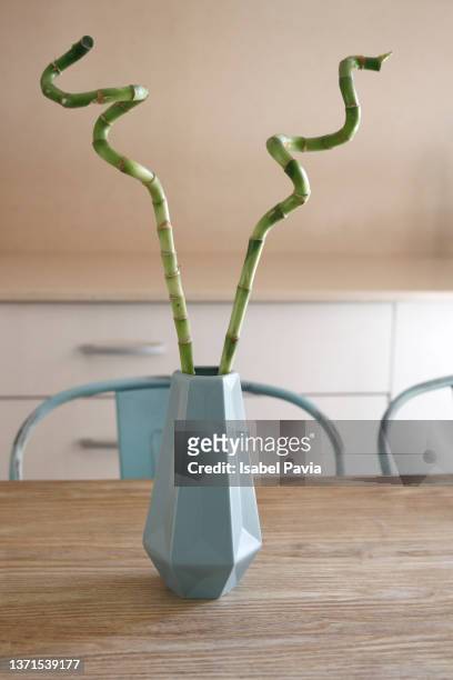 close-up of bamboo on table at kitchen - bamboo plant imagens e fotografias de stock