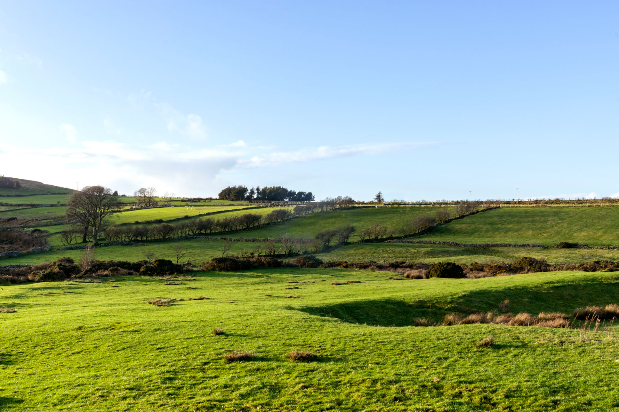 Agricultural field in the Mourne Mountains Northern Ireland Stock photo Agricultural field in the Mourne Mountains Northern Ireland Stock photo