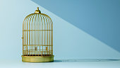 empty golden bird cage with beam of light