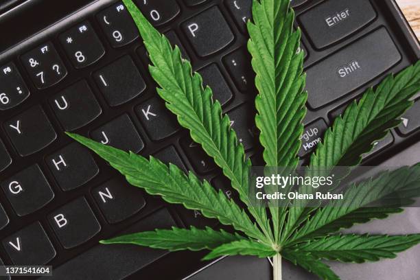 Computer Ganja Cannabis Dispensary Computer Photos and Premium High Res Pictures ...