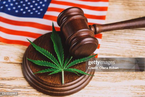 cannabis leaf on sound block under gavel over us flag. - hanfpflanze stock-fotos und bilder