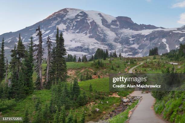 skyline trail mount rainier national park - wanderweg skyline trail stock-fotos und bilder