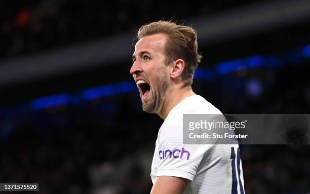 Harry Kane of Tottenham Hotspur celebrates after scoring their side's third goal during the Premier League match between Manchester City and...