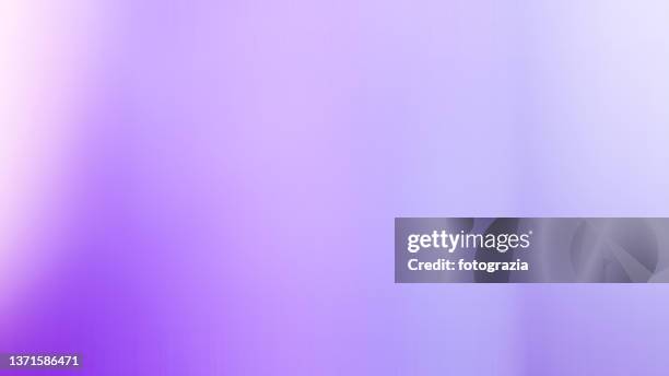 gradient purple background - roxo - fotografias e filmes do acervo