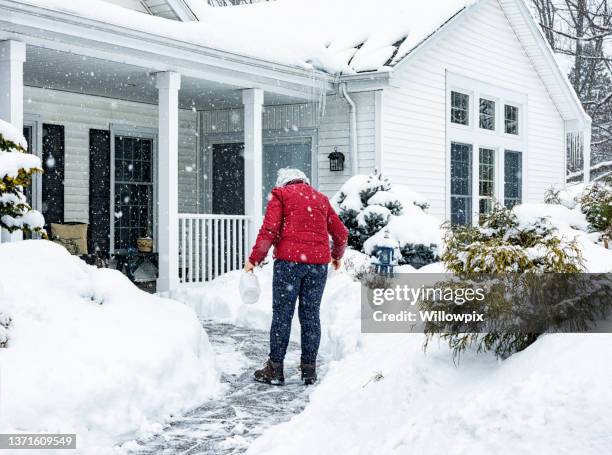 red jacket woman sprinkling ice melt salt during winter blizzard snow storm - snow melting on sidewalk stock pictures, royalty-free photos & images