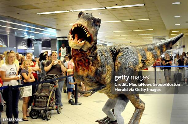 Boston Riding T Rex 24 Dinosuars Stock Photos, High-Res Pictures, and Images - Getty Images