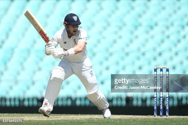 Peter Nevill of the Blues bats during day three of the Sheffield Shield match between New South Wales and Tasmania at Sydney Cricket Ground, on...