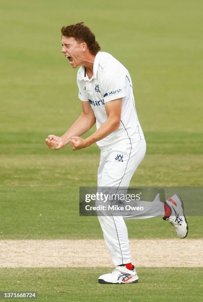 Mitchell Perry of Victoria celebrates after dismissing Bryce Street of Queensland during day three of the Sheffield Shield match between Victoria and...