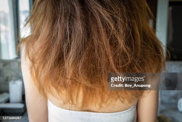 close up of back view of woman with her messy and damaged split ended hair. - cheveux secs photos et images de collection