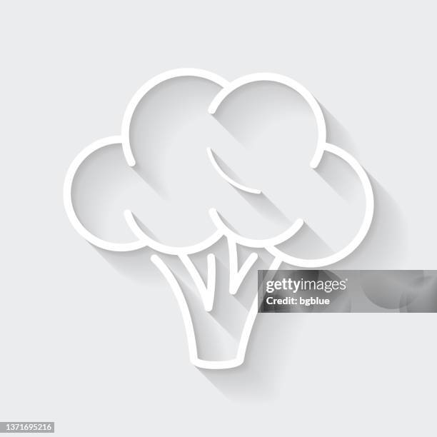 broccoli. icon with long shadow on blank background - flat design - cabbage isolated stock illustrations