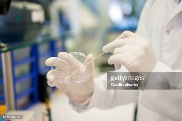 biology researcher conducting an experiment in laboratory - patholoog stockfoto's en -beelden