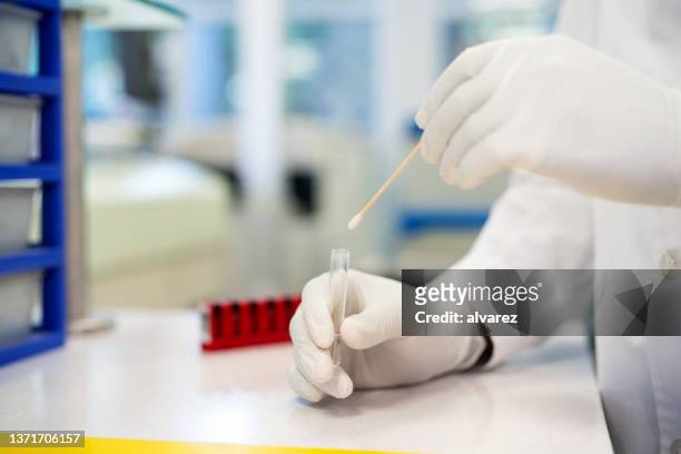 medial scientist working in a research lab - cotton bud stock pictures, royalty-free photos & images