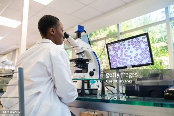 scientist working in pathology lab - microscope bildbanksfoton och bilder