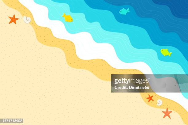 sommerzeit - meer und strand dekorativer hintergrund mit kopierraum - starfish stock-grafiken, -clipart, -cartoons und -symbole