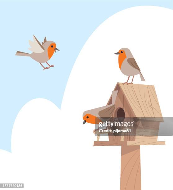 birds in birdhouse - birdhouse stock illustrations