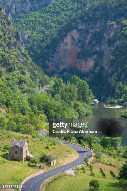 gorges du tarn in the cevennes, france - cevennes stock pictures, royalty-free photos & images