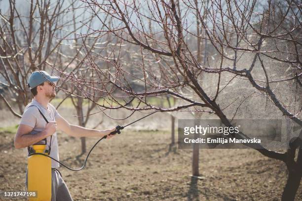 young man spraying organic pesticides on trees - spraying weeds stock pictures, royalty-free photos & images