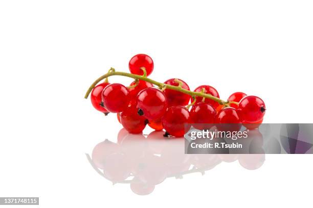 red currant berries isolated on a white background - rode bes stockfoto's en -beelden