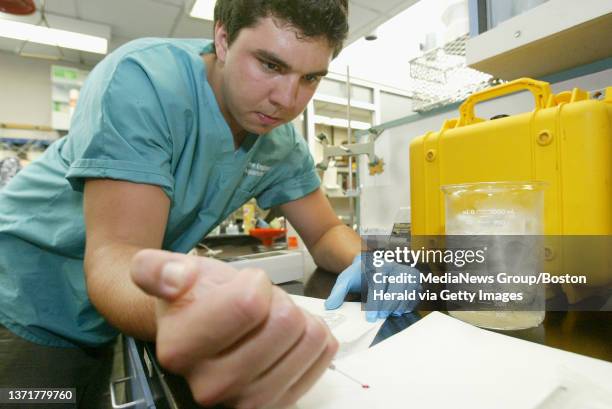 Northeastern masters student Austin Gallagher at the New England Aquarium tests a sample of blood drawn from an Epaulette Shark for a research...