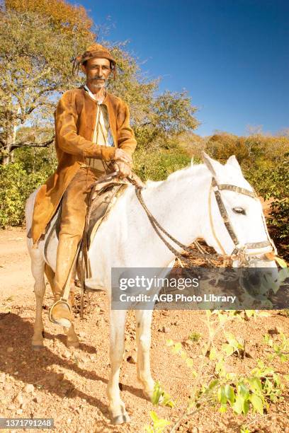 Vaqueiro em armadura de couro. Sertanejo e sua vestimenta sobre cavalo. Cowboy in Armor of Leather. Cristino Castro - Japecanga. Piauí. Brazil.