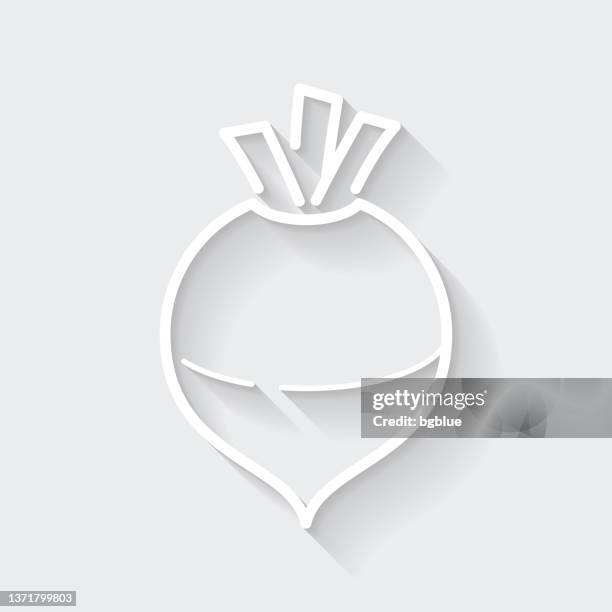 rutabaga. icon with long shadow on blank background - flat design - rutabaga stock illustrations