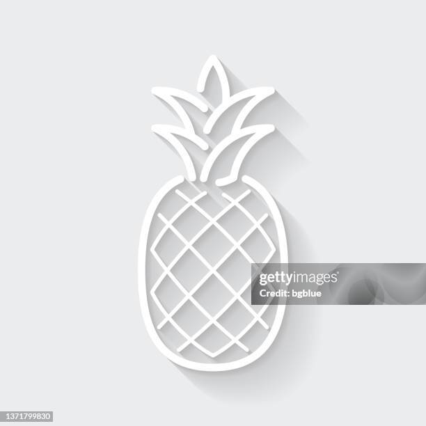 pineapple. icon with long shadow on blank background - flat design - pineapple stock illustrations