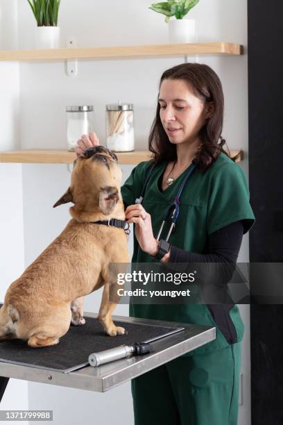 vétérinaire offrant à son chien patient une friandise sur une table d’examen - table dexamen médical photos et images de collection