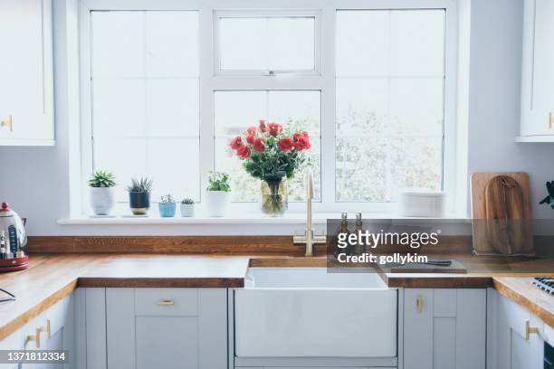 cucina domestica moderna e luminosa con piante grasse, erbe e rose sul davanzale della finestra - windows foto e immagini stock
