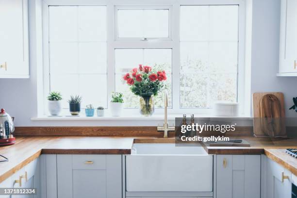 cozinha doméstica moderna e brilhante com plantas suculentas, ervas e rosas no peitoril da janela - peitoril de janela - fotografias e filmes do acervo