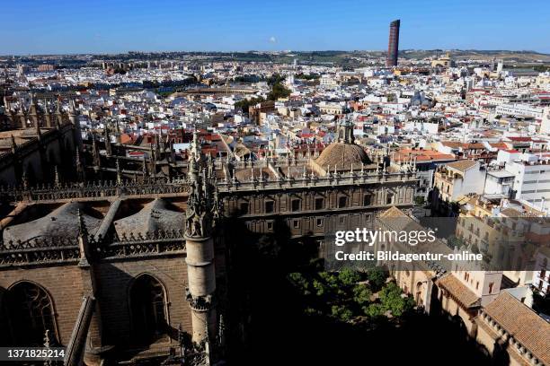 Spain, Andalusia, historic center of Seville, view from tower the cathedral to the city.