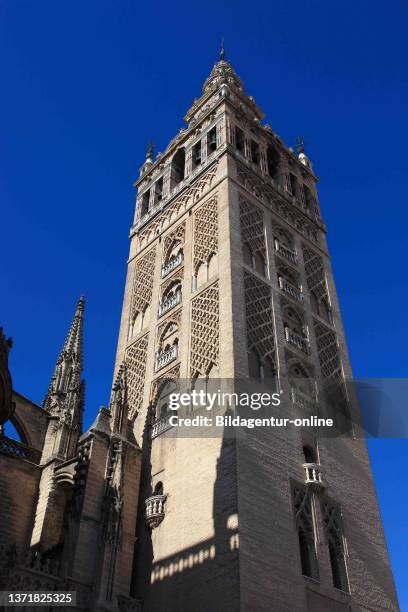 Spain, Andalusia, historic center of Seville, belltower La Giralda next to the cathedral.